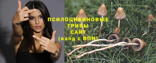 ECSTASY Алзамай