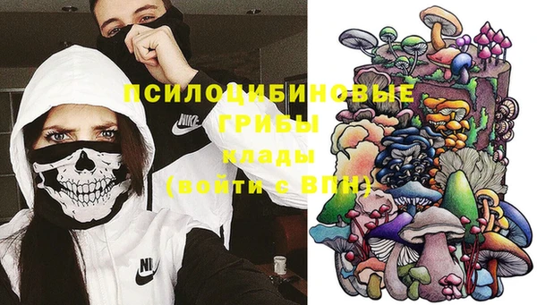 прущая мука Арсеньев